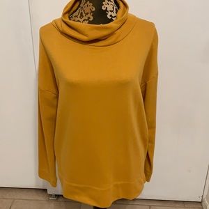 Loft Turtleneck Sweater